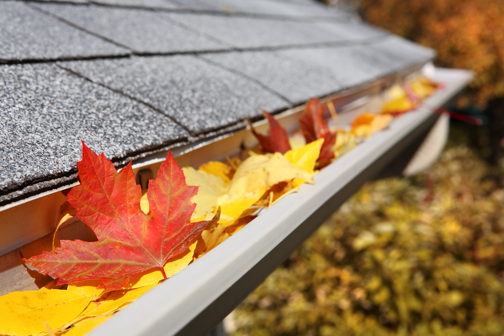 how fall home maintenance services benefit homeowners